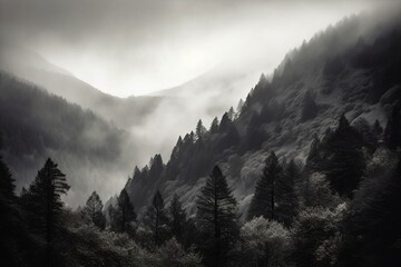 mountains in the fog