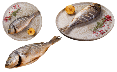 Grilled dorado fish. Transparent.