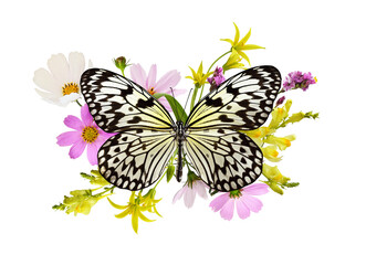 Butterfly and summer flowers in a beautiful arrangement isolated on white or transparent background