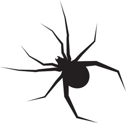 spider_black 거미 측면 탑뷰