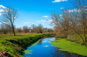 Fototapeta na wymiar Blue and cloudy sky over a little creek in the surrounding countryside of Berlin, Germany.
