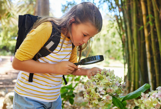 Learning, magnifying glass and girl with flower outdoor for looking at plants at park. Education, child and magnifier lens to look at vegetation, exploring nature or garden on summer school trip.