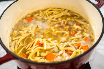 Chicken Noodle Soup