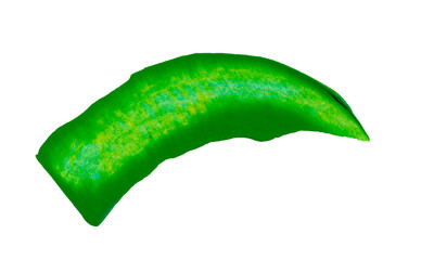 Green brushstrokes. Hand painted items. No background.