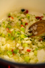 Chicken Noodle Soup
