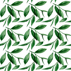 Tea green leaves. Watercolor seamless pattern