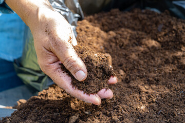 Hand holding peat moss organic matter improve soil for agriculture organic plant growing, ecology concept.