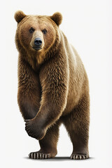 Obraz premium A standing grizzly bear isolated on a white background. Generative AI