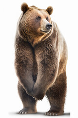A standing grizzly bear isolated on a white background. Generative AI