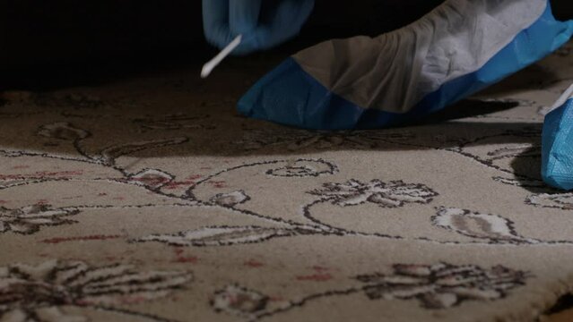Wide shot of forsenci office gather blood samples off carpet