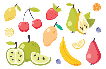 Summer fruit collection. Set of fresh tropical and garden fruits doodle, organic biological vegan food. Cute cartoon vector illustration