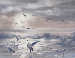 Cranes in the morning mist watercolor background - 587309837