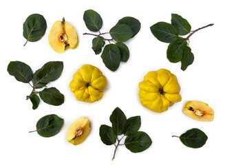 Ripe yellow juicy quince ( Cydonia oblonga ) with green leaves on a white background. Top view, flat lay