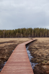 Wooden decking road into the forest through the swamp in autumn or spring