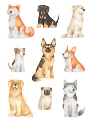Watercolor cartoon dog breeds. Cute hand-drawn illustrations of different dogs. Set of sitting dogs - akita inu, dachshund, labrador, jack russell, shepherd, corgi, retriever, pug and husky