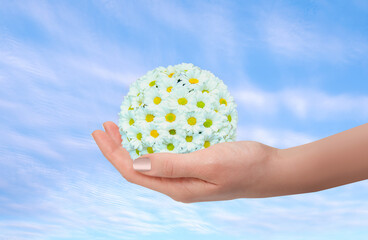 A woman holds a spherical bouquet of daisies in her hand