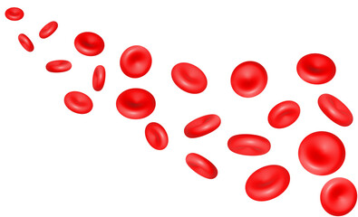 microscope of red blood cells erythrocytes