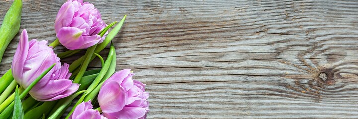 Fototapeta premium Lilac tulips on a wooden background, happy mother's day, holiday and birthday gift. Spring concept. Top view.