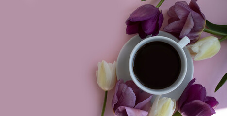 Fototapeta na wymiar Cup of coffee, tulip flower on a colored background