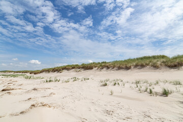 Dune landscape  in St. Peter-Ording, North Friesland, Schleswig-Holstein, Germany, Europe