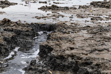 beach at low tide in St. Peter-Ording, North Friesland, Schleswig-Holstein, Germany, Europe