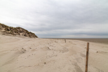 Dune landscape overlooking beach in St. Peter-Ording, North Friesland, Schleswig-Holstein, Germany, Europe