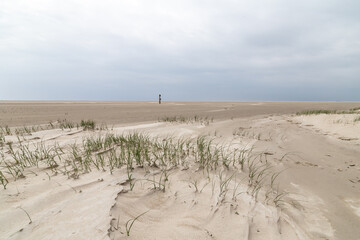 low tide on the beach  in St. Peter-Ording, North Friesland, Schleswig-Holstein, Germany, Europe