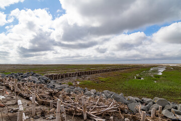 salt meadow in St. Peter-Ording, North Friesland, Schleswig-Holstein, Germany, Europe