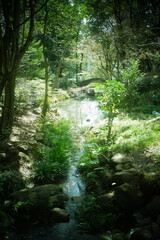 Obraz premium 近所の公園の風景