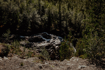 Obraz premium Waterfall among the pine forest flow from the mountain