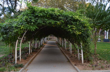 nature, landscape, tranquility, travel, interesting