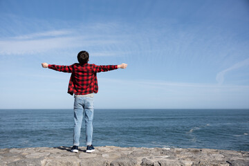 Rear view of person arms outstretched looking seascape