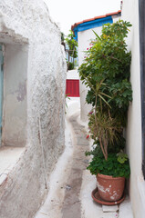 Fototapeta na wymiar alley in the village
