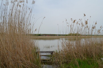 nature, landscape, tranquility, travel, interesting