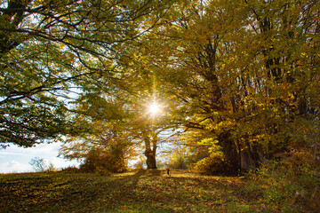 Riserva naturale regionale Monte San Vicino e Monte Canfaito