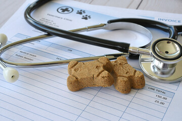 Vet veterinarian bill invoice with stethoscope and dog treats. Medical cost of pets concept