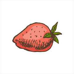 A hand-drawn colored  sketch of  strawberry. Vintage illustration, doodle. Element for the design of labels, packaging and postcards.