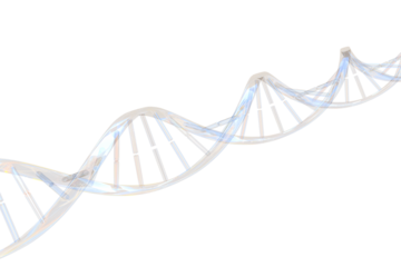 Illustrative image of transparent DNA 