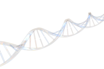 Velours gordijnen Illustrative image of transparent DNA  © vectorfusionart