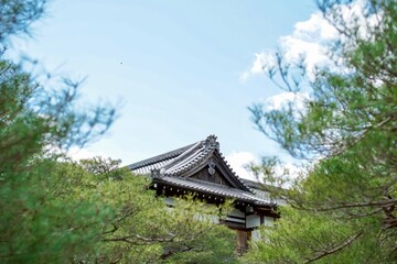 Fototapeta premium 和風建築の屋根