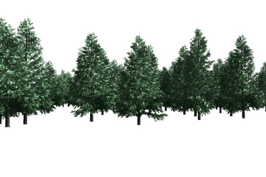 Fototapeta Digitally generated image of green forest