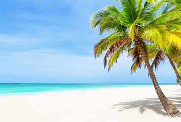 Tropical white sand beach with coconut palm trees and turquoise blue water in Punta Cana, Dominican...