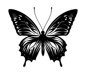 butterfly icon. Simple illustration of big butterfly vector icon