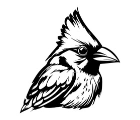 Red Cardinal Silhouette Icon, cardinal bird, red cardinal,