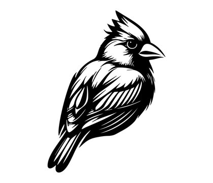 recommend clip art: Red Cardinal Silhouette Icon, cardinal bird, red cardinal,