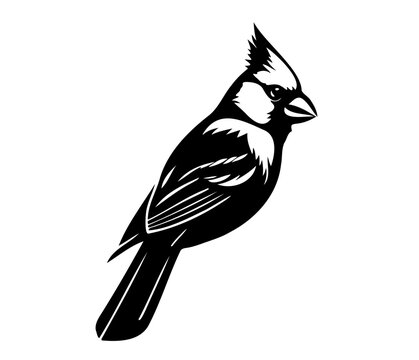 recommend clip art: Red Cardinal Silhouette Icon, cardinal bird, red cardinal,