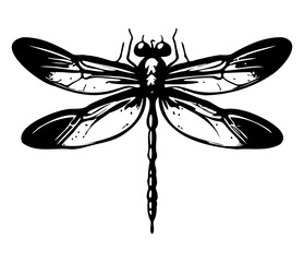 Dragonfly hand drawing vintage engraving illustration