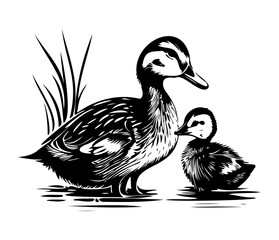 Duck With Duckling, Mom and baby duck, Duck swimming in the lake illutration