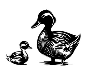 Duck With Duckling, Mom and baby duck, Duck swimming in the lake illutration