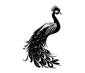 Monochrome peacock. Animal bird vector illustration, peafowl art design